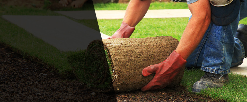 Mazomanie Landscapers